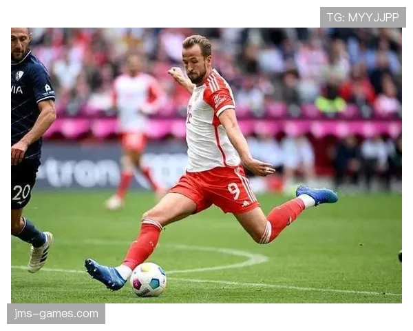 哈里·凯恩拜仁首赛季高效输出解析：新环境下的进球与适应